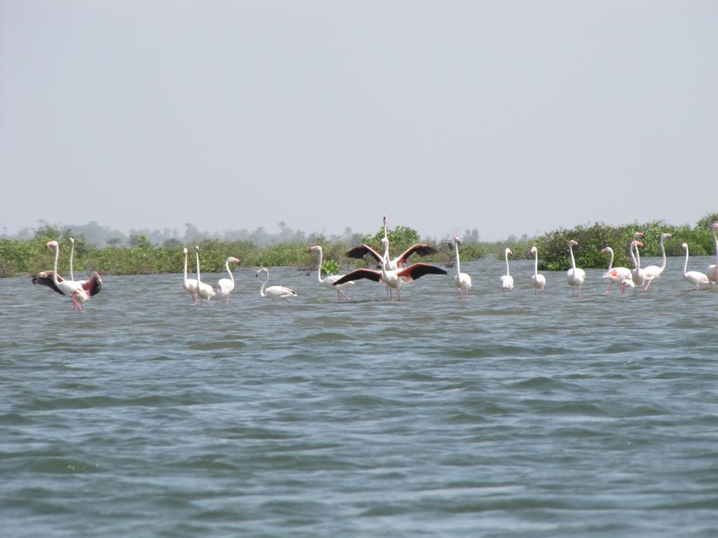 Bazouk Du Saloum Ecolodge Mar Lodj ภายนอก รูปภาพ